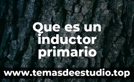 Qué es asentamiento primario en danza 3 Que es un inductor primario
