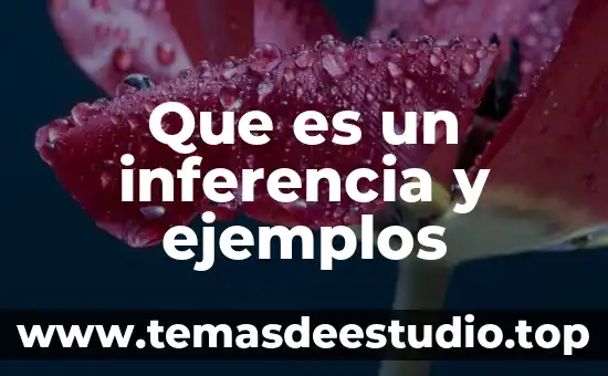 Que es tipo de inferencia 6 Que es un inferencia y ejemplos