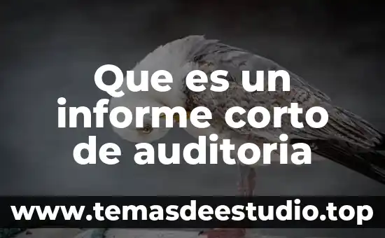 Bolsa de valores norteamericana que es 4 Que es un informe corto de auditoria