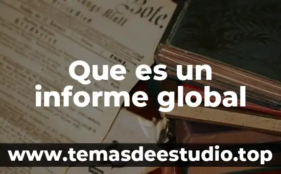 Que es un informe global