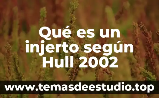 Que es ser una empresa eficiente 6 Qué es un injerto según Hull 2002