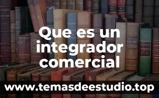 Que es un integrador comercial