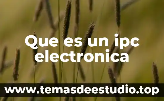 Firma electronica sat para que es 6 Que es un ipc electronica