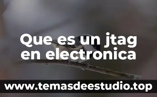 Firma electronica avanzada obtencion que es 5 Que es un jtag en electronica