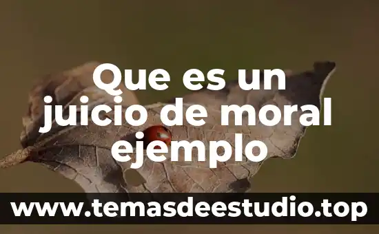 Qué es una conclusión y ejemplo 7 Que es un juicio de moral ejemplo