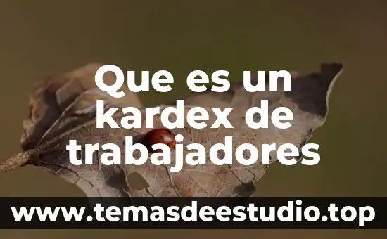 Que es expedientes de trabajadores 3 Que es un kardex de trabajadores