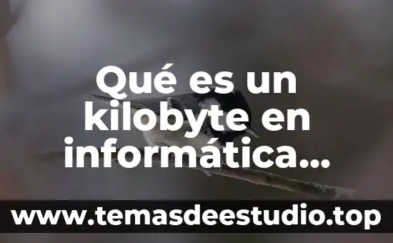 Qué es un número ordinal definición 6 Qué es un kilobyte en informática definición