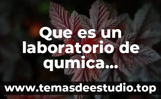 Qué es un asistente de arte 3 Que es un laboratorio de qumica aplicada