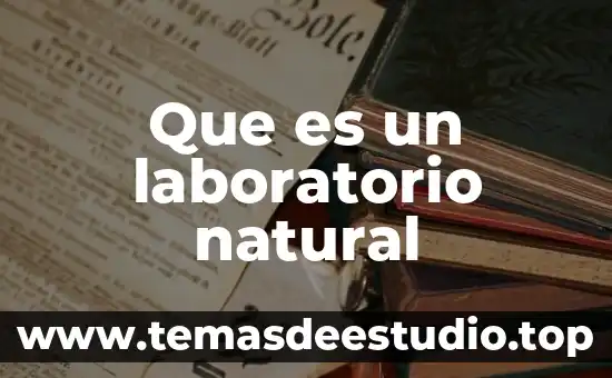 Qué es un instrumento de laboratorio concepto 6 Que es un laboratorio natural