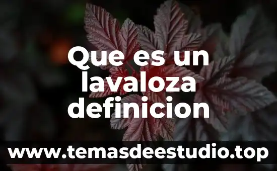 Qué es la amnistía internacional definición 5 Que es un lavaloza definicion