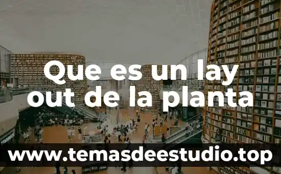 Que es geometria analitica y como se aplica 8 Que es un lay out de la planta