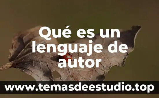 Que es homonimo con autor 7 Qué es un lenguaje de autor