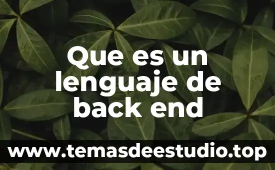 Qué es el lenguaje como símbolo 5 Que es un lenguaje de back end