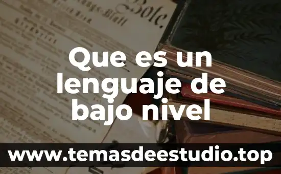 Que es un lenguaje de bajo nivel