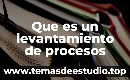 Que es general de procesos 8 Que es un levantamiento de procesos