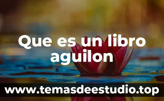Que es una sociedad controladora filial 7 Que es un libro aguilon
