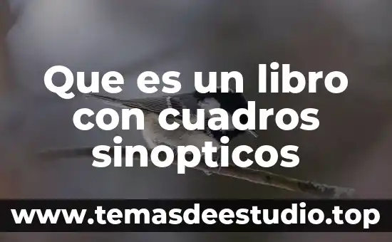 Que es un libro con cuadros sinopticos