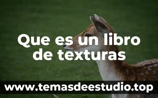 Nombre del libro que es es 8 Que es un libro de texturas