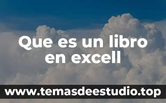 Que es un libro en excell