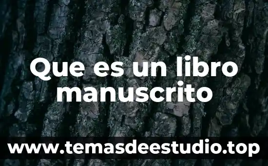 Que es un libro manuscrito