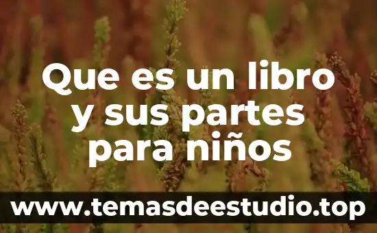 Qué es tríptico función y partes que lo conforman 8 Que es un libro y sus partes para niños