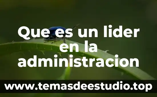 Qué es ser un líder emprendedor 7 Que es un lider en la administracion