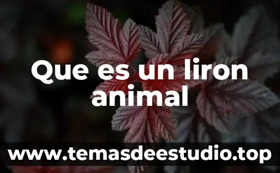 Que es la biologia como una ciencia 3 Que es un liron animal