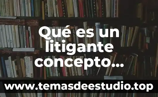 Qué es un litigante concepto jurídico