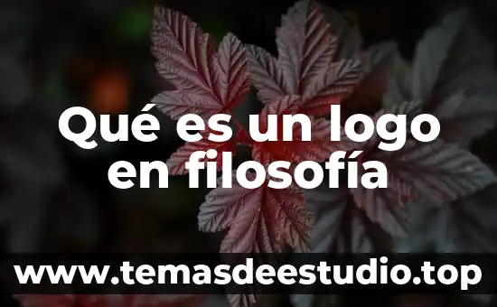 Que es inminencia en filosofia 8 Qué es un logo en filosofía