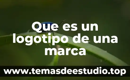 Que es logotipo definicion 3 Que es un logotipo de una marca