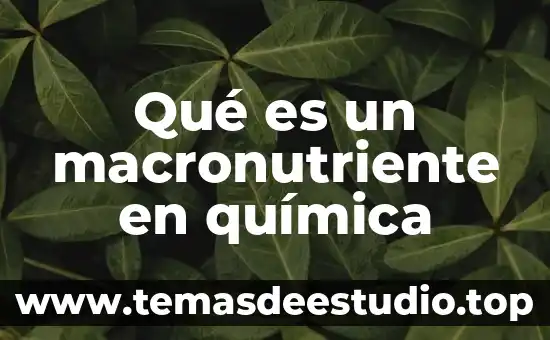 Qué es un macronutriente en química