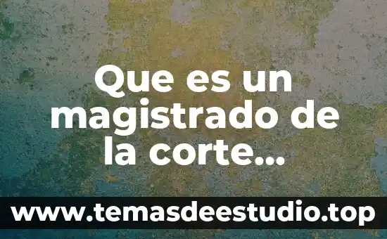 Que es el principio pro persona suprema corte de justicia 4 Que es un magistrado de la corte suprema de justicia