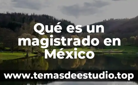 Qué es un magistrado en México