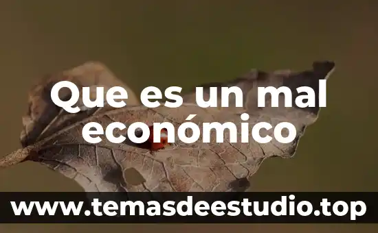 Que es el menu económico 4 Que es un mal económico