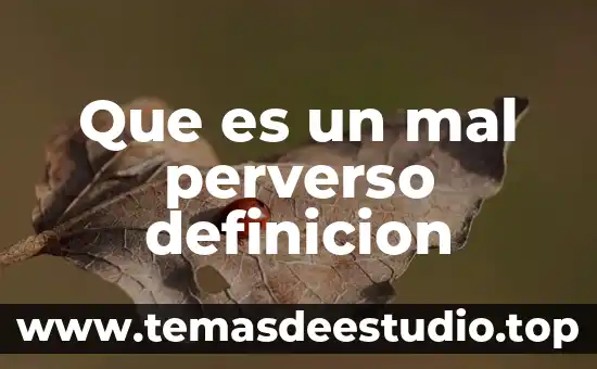 Qué es esquizofrenia definición 3 Que es un mal perverso definicion