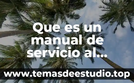 Medidas de calidad del servicio definición y que es 8 Que es un manual de servicio al cliente
