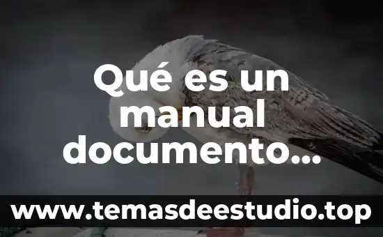Que es un documento con firma digital 3 Qué es un manual documento técnico