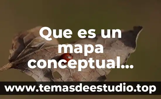 Qué es el marco conceptual en las NIF 8 Que es un mapa conceptual ncep