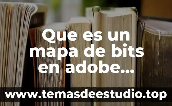 Que es la arquitectura de computadoras 32 y 64 bits 5 Que es un mapa de bits en adobe illustrator