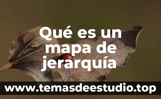 Qué es la jerarquía en ética 3 Qué es un mapa de jerarquía