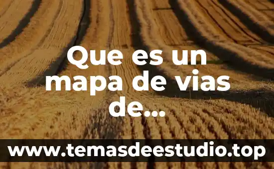 Vías nerviosas que es 3 Que es un mapa de vias de comunicacion