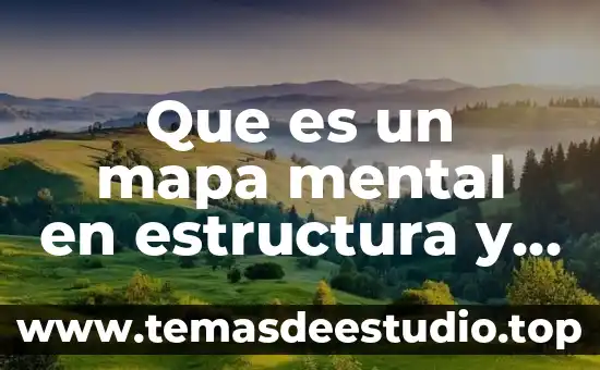 Que es lo que causa un incendio 8 Que es un mapa mental en estructura y contenido