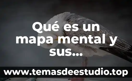 Que es representacion mental concepto 6 Qué es un mapa mental y sus características y ejemplos