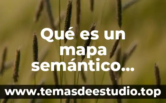 Diseñador de cableado estructurado que es 6 Qué es un mapa semántico cómo está estructurado