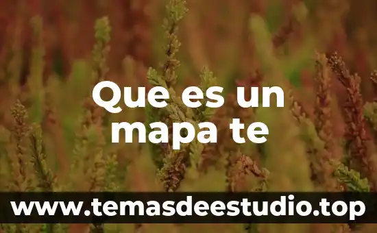 Que es un mapa te