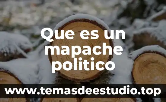 Que es sistema político y sus elementos 5 Que es un mapache politico