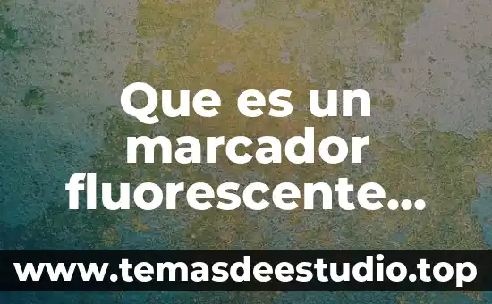 Trabajo de campo en biología que es 7 Que es un marcador fluorescente biologia celular