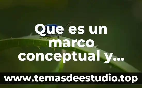 Para que es sirve una tesis 8 Que es un marco conceptual y para que sirve