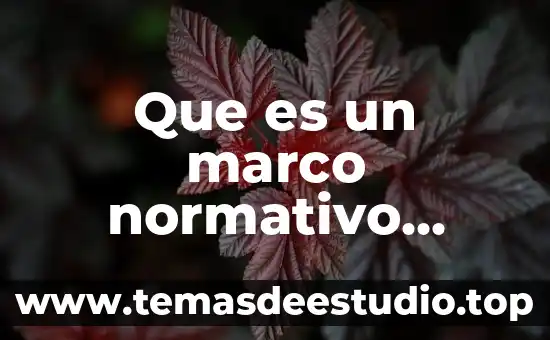 Que es la cultura en una sociedad y ejemplo 7 Que es un marco normativo ejemplo