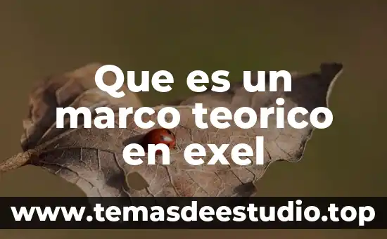 Que es una firma digital en exel 7 Que es un marco teorico en exel
